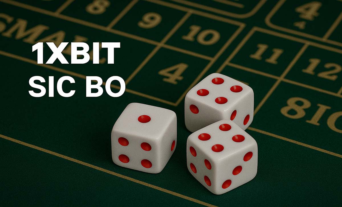 سيكبو 1XBIT: المزايا، القواعد، كيفية اللعب واستراتيجية الفوز السريع